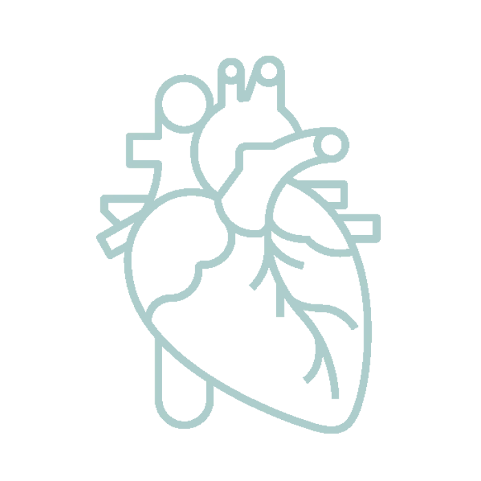 המעצב פנים אופיר דהאן 24